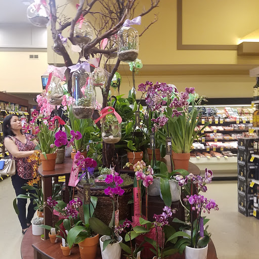 Vons image