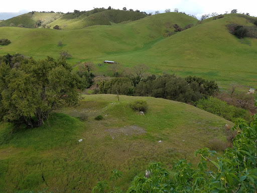 Coyote Valley Sporting Clays image