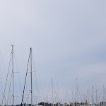 Photo n° 4 de l'avis de mika.o fait le 01/06/2019 à 08:34 pour Port de plaisance de Saint-Denis-d'Oléron à Saint-Denis-d'Oléron