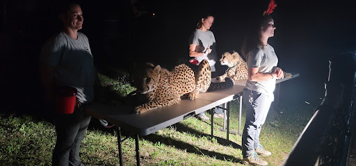 Tourist Attraction «Panther Ridge Conservation Center», reviews and photos, 14755 Palm Beach Point Blvd, Wellington, FL 33414, USA