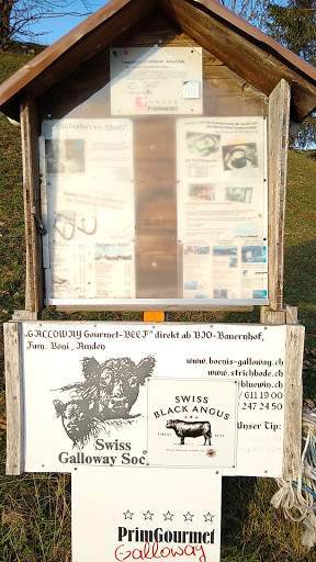 site_photo3
