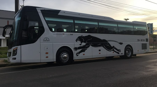 Top 10 cửa hàng đồ gỗ Huyện Đảo Cồn cỏ Quảng Trị 2022