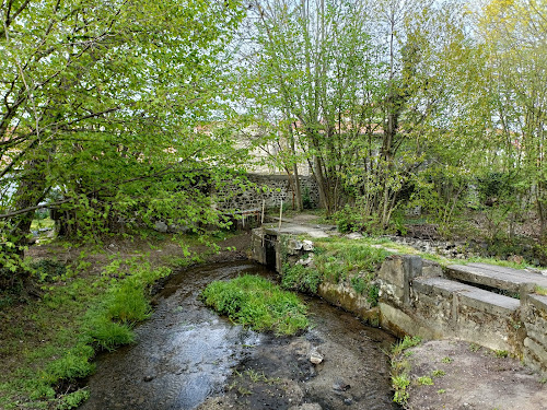 Parc de l'abbaye de Mozac à Mozac