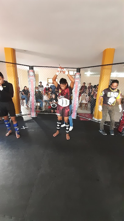 Gym LION WARRIOR´S MMA HUAUCHIANGO - Gral Francisco, A Cravioto, Centro, 73160 Huauchinango, Pue., Mexico