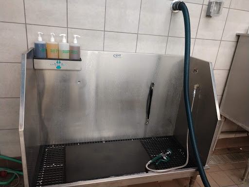 Pet Supply Store «Pet Supplies Plus», reviews and photos, 9630 Transit Rd Suite 400, East Amherst, NY 14051, USA