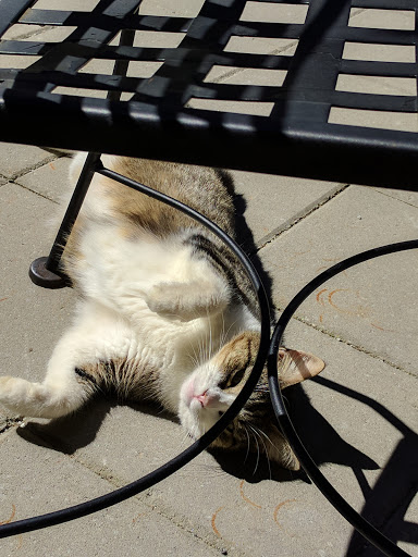 Cafe «CAFE + VELO», reviews and photos, 381 Edgewood Ave SE, Atlanta, GA 30312, USA