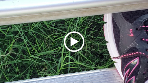 Water Park «Aqua PARDS», reviews and photos, 30372 Eden Church Rd, Denham Springs, LA 70726, USA