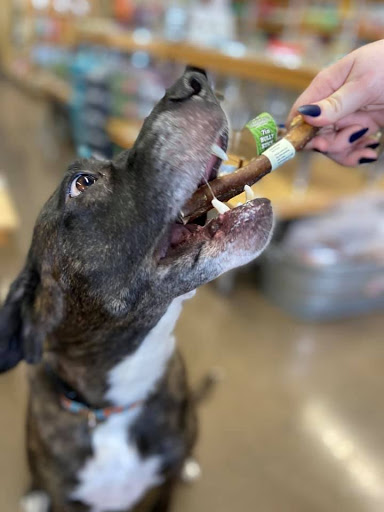 Pet Store «Pet Planet Ridgeview», reviews and photos, 2910 N Power Rd #103, Mesa, AZ 85215, USA