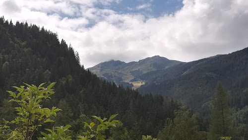 Centre d'escalade Le rocher des Biassus Le Haut-Bréda