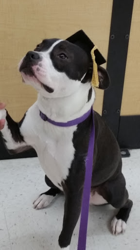 Pet Supply Store «PetSmart», reviews and photos, 88 Dunning Rd, Middletown, NY 10940, USA