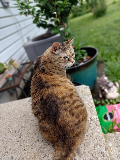 4215 Sullivant Ave, Columbus, OH 43228, USA