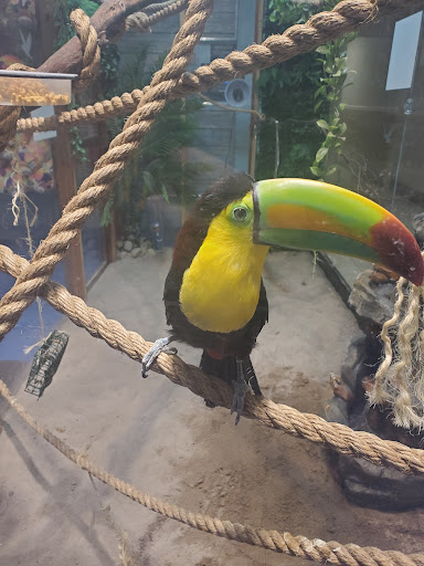 Aquarium «SeaQuest Interactive Aquarium», reviews and photos, 1201 N Hill Field Rd #1072, Layton, UT 84041, USA