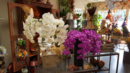 Florist «Carithers Flowers», reviews and photos, 1708 Powers Ferry Rd SE, Marietta, GA 30067, USA
