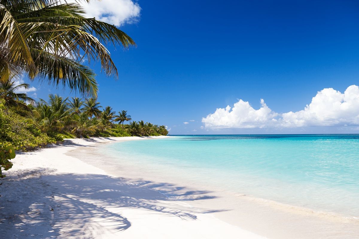 Photo of Flamenco beach with bright sand surface