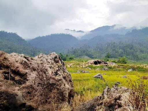 Thinhklyb Farmstay