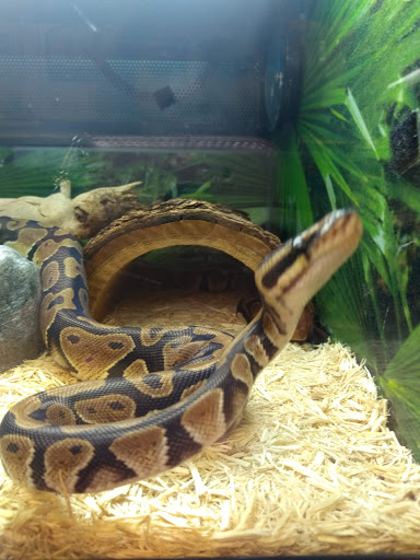 Pet Supply Store «PetSmart», reviews and photos, 1600 Marcus Ave, New Hyde Park, NY 11040, USA