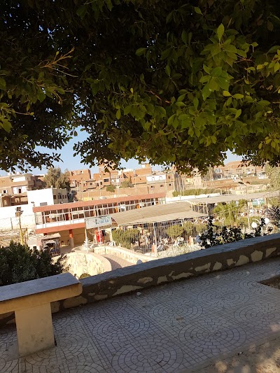 Photos of مخييم عين السليين