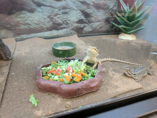 Pet Supply Store «Petco Animal Supplies», reviews and photos, 5027 Monroe St, Toledo, OH 43623, USA