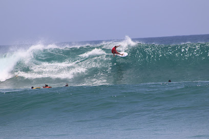 Whitlock Surf Factory