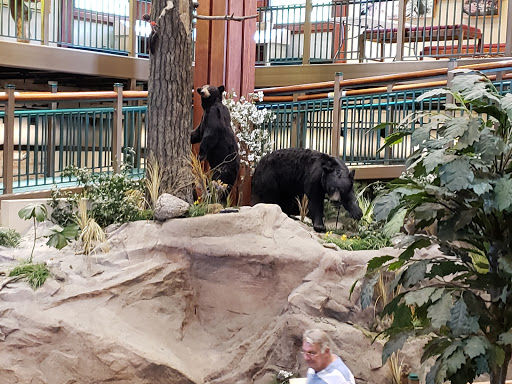 Tallulah Gorge Interpretive Center