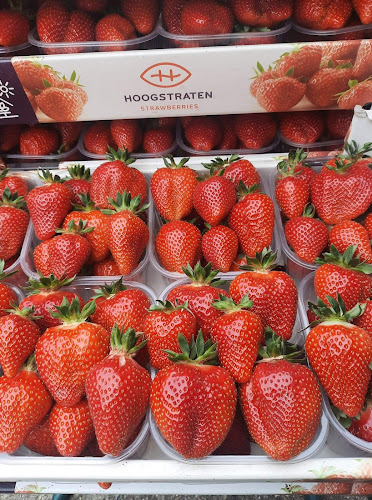 Aardbeien verkoop Busselen-Pieraerts
