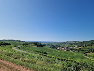 Domaine Gaël Martin à Saint-Vérand