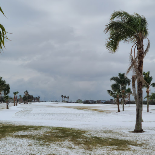 Public Golf Course «Moody Gardens Golf Course», reviews and photos, 1700 Sydnor Ln, Galveston, TX 77554, USA