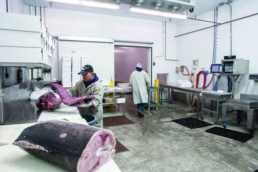 Lắp Đặt Kho Lạnh Bình Định