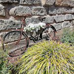 Photo n°1 de l'avis de Sabine. fait le 31/05/2022 à 07:24 sur le  Biergarten/Gastwirtschaft Zum Stern à Michelau in Oberfranken