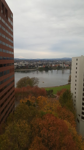 Divorce Lawyer «Goldberg Jones — Divorce For Men», reviews and photos