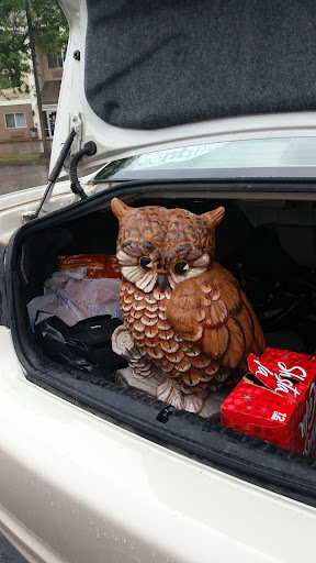 Thrift Store «Savers», reviews and photos