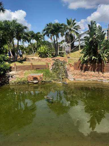 Miniature Golf Course «Golf N Gator», reviews and photos, 6355 N Atlantic Ave, Cape Canaveral, FL 32920, USA