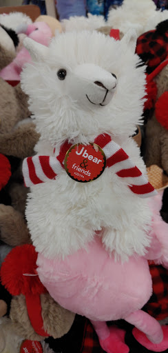 Fabric Store «Jo-Ann Fabrics and Crafts», reviews and photos, 11215 Causeway Blvd, Brandon, FL 33511, USA