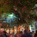 Photo n° 1 de l'avis de Achraf.l fait le 12/05/2023 à 20:07 pour The Jungle à Sainte-Luce-sur-Loire