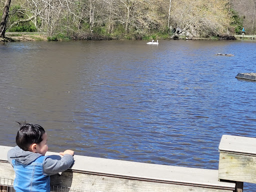 Park «Ellanor C. Lawrence Park», reviews and photos, 5040 Walney Rd, Chantilly, VA 20151, USA