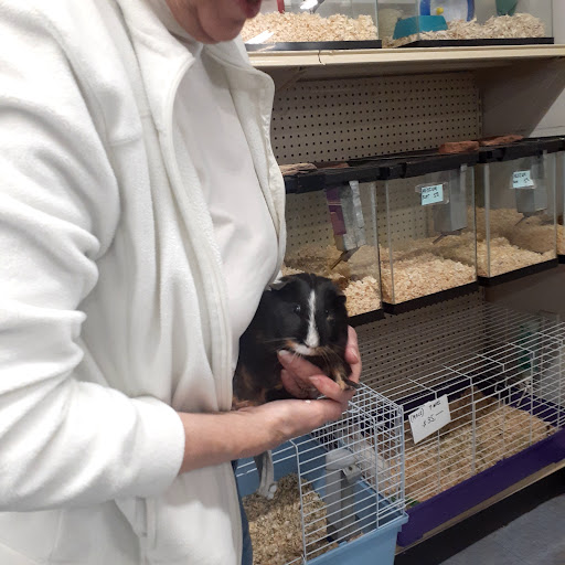 Pet Store «National Pet Center», reviews and photos, 726 Reservoir Ave, Cranston, RI 02910, USA