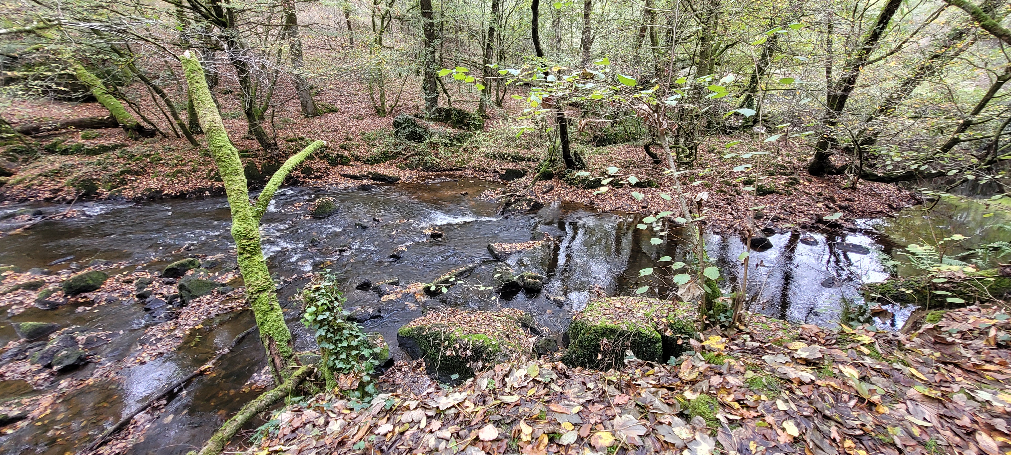 Photo n° 8 de l'avis de Christian.a fait le 30/10/2022 à 11:08