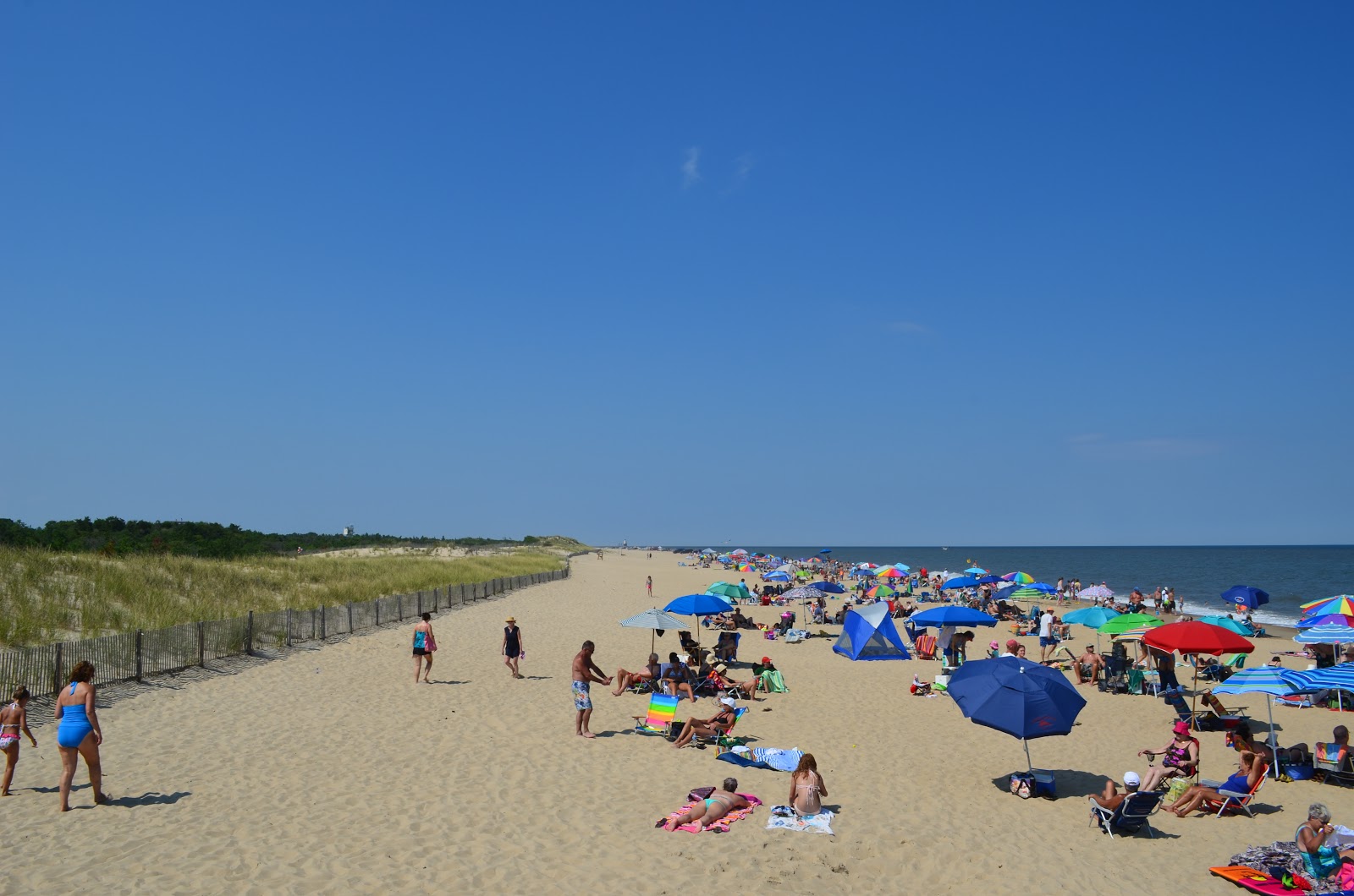 Photo de Cape Henlopen Beach situé dans une zone naturelle
