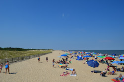 Photo de Cape Henlopen Beach situé dans une zone naturelle