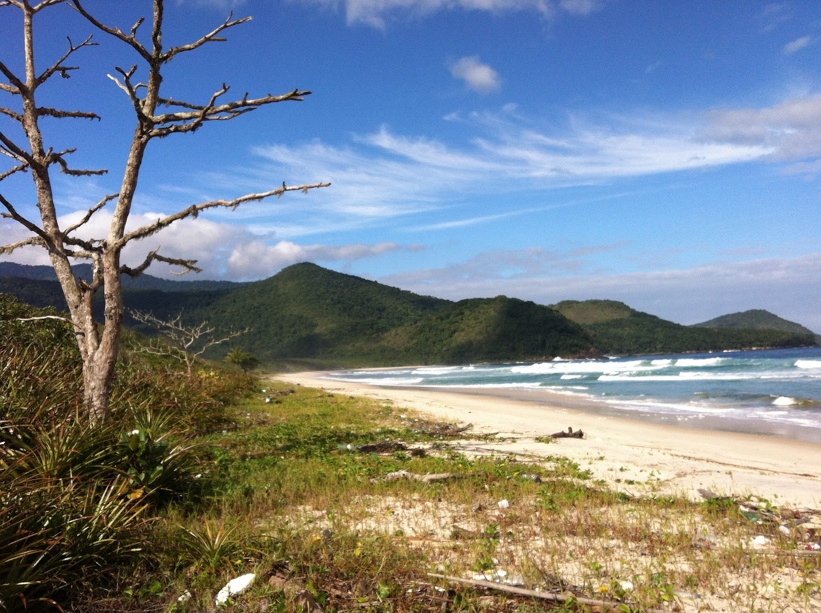 Photo de Praia do Leste protégé par des falaises