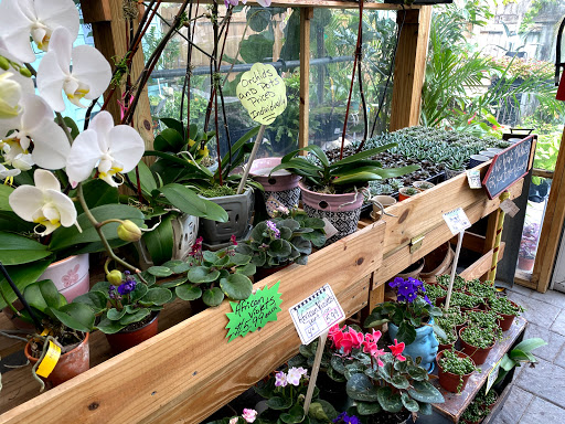 Grocery Store «Bayshore Market», reviews and photos, 5025 Bayshore Blvd, Tampa, FL 33611, USA