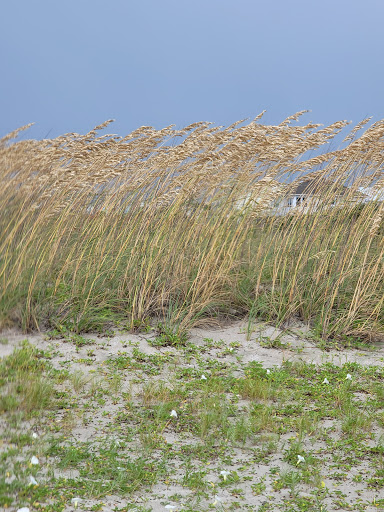 Museum «Tybee Island Light Station And Museum», reviews and photos, 30 Meddin Dr, Tybee Island, GA 31328, USA