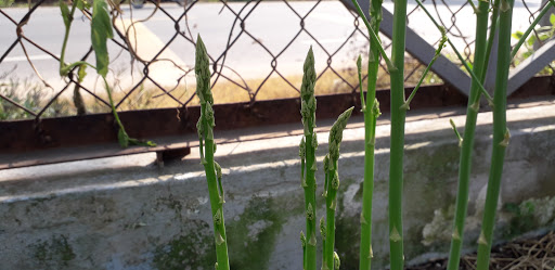 Top 20 cửa hàng thông minh Thị xã Bà Rịa Bà Rịa Vũng Tàu 2022