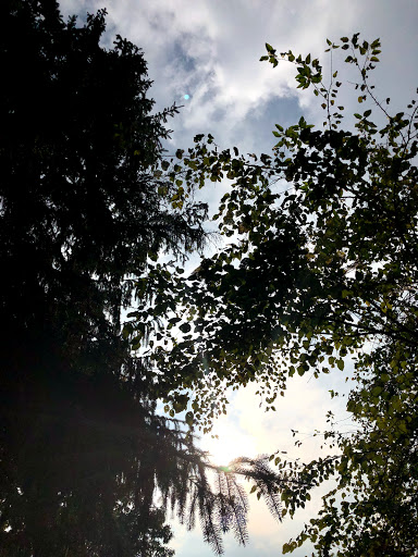 Park «Guilford Park», reviews and photos, 9900 Guilford Rd, Jessup, MD 20794, USA