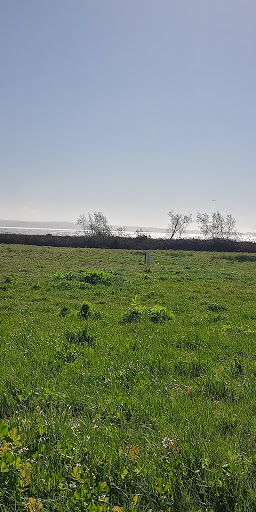 Bird Watching Area «Arcata Marsh Interpretive Center», reviews and photos, 569 S G St, Arcata, CA 95521, USA