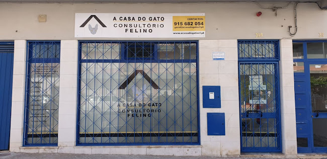 A Casa do Gato - Consultório Veterinário Felino - Dra Vanda Santos