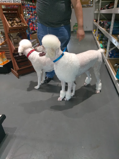 Pet Groomer «Pet Choice», reviews and photos, 4203 MacArthur Blvd, Oakland, CA 94619, USA