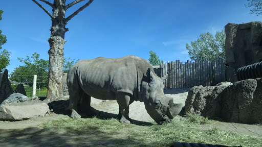 Zoo «Hogle Zoo», reviews and photos, 2600 Sunnyside Ave S, Salt Lake City, UT 84108, USA