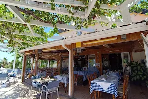 Coral Oasis Tavern image