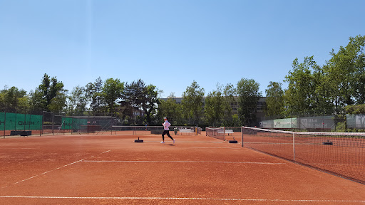 Tennisgesellschaft Rheinau e.V.